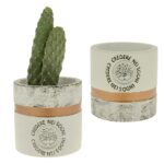 portapiante bomboniere solidali