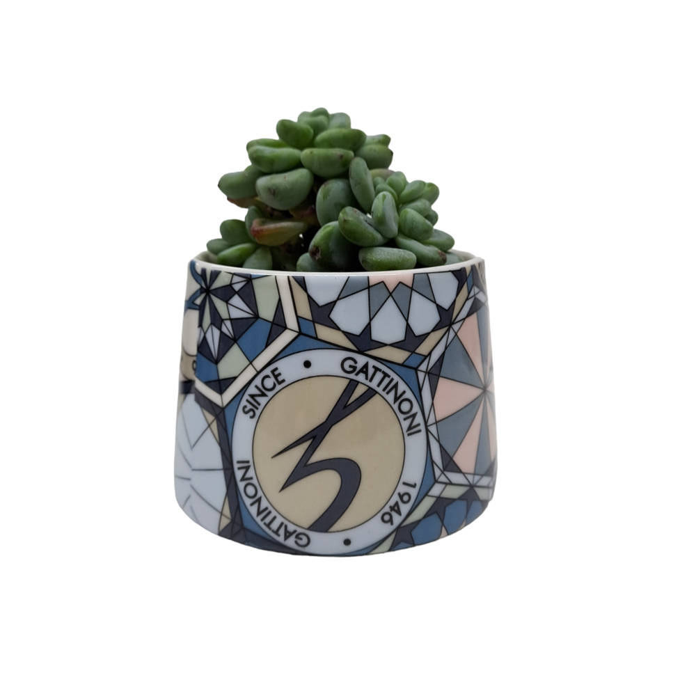 Porta piantina collezione Teodosia Blue - Gattinoni