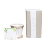 vaso con semi + scatola