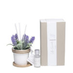 Profumatore vaso lavanda piccolo con profumo + scatola