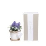 Vaso lavanda piccolo con scatola