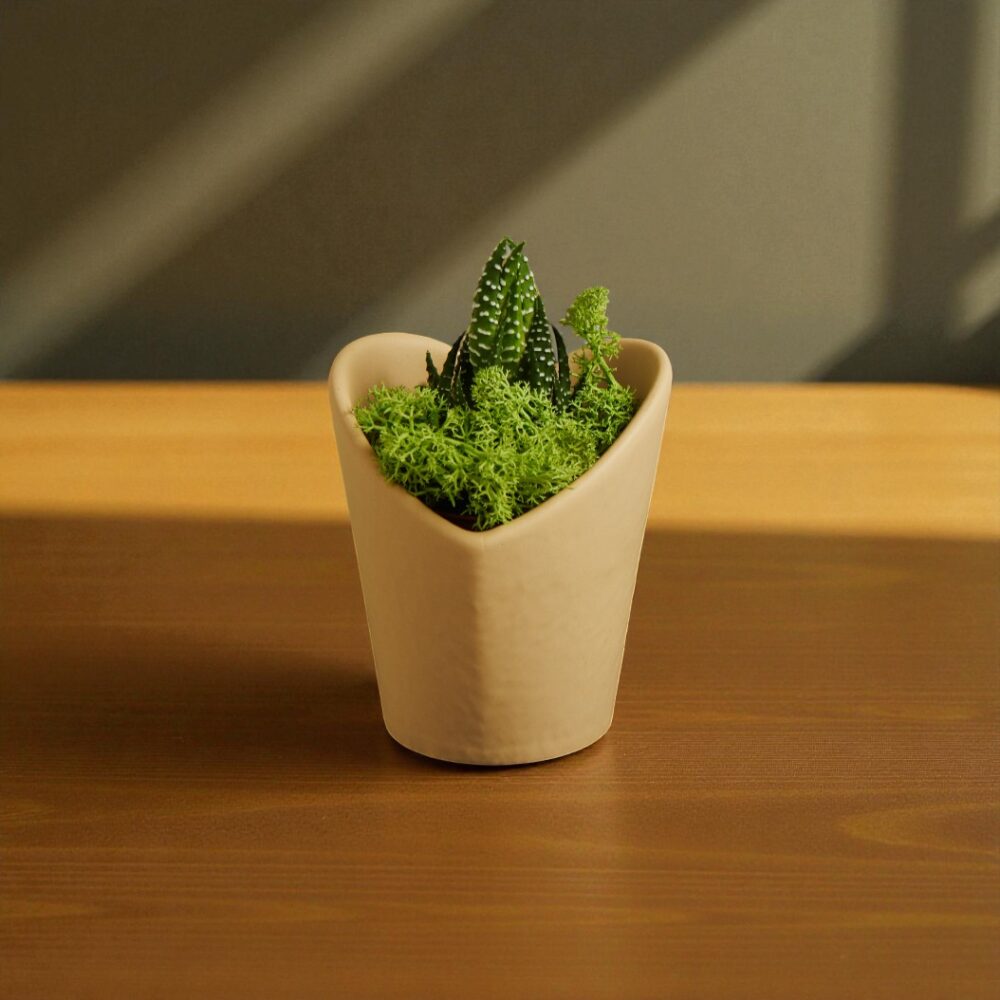 Vasetto forma cuore marrone con piantina - Bomboniere Claraluna