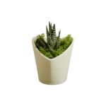 Vasetto forma cuore bianco con piantina - Bomboniere Claraluna