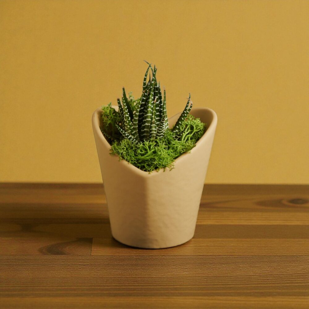 Vasetto forma cuore marrone grande con piantina - Bomboniere Claraluna