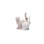 Coppia Gatti Portanelli - Cuorematto