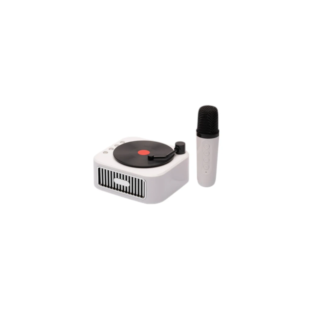 Radio Speaker Microfono Giradisco Cuorematto