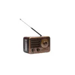 Radio Speaker Vintage Cuorematto