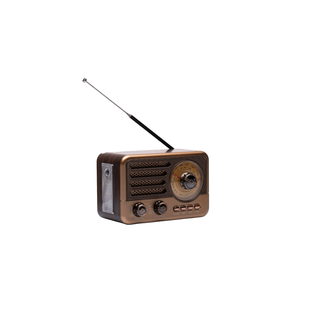 Radio Speaker Vintage Cuorematto