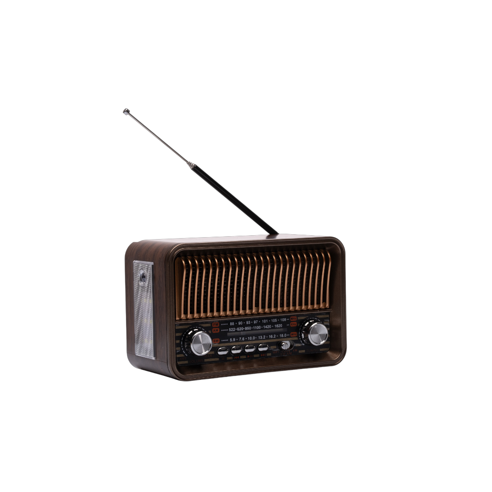 Radio Speaker Vintage Cuorematto