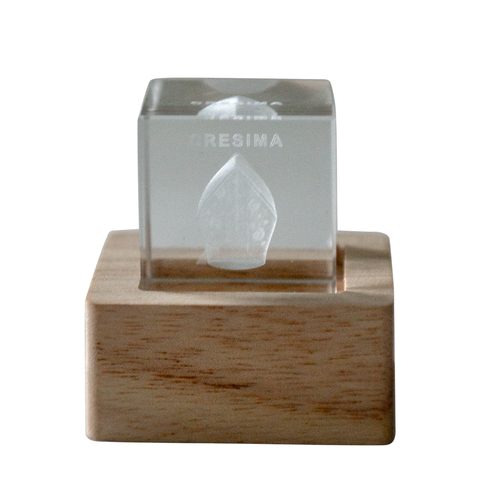 Cubo Crystal Lampo Cresima Cm6x6 Bomboniere ETM