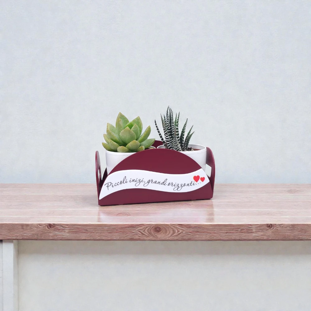 Vassoio con Vasetti Porta piantine Serie Monkey Bomboniere Negò - immagine 2