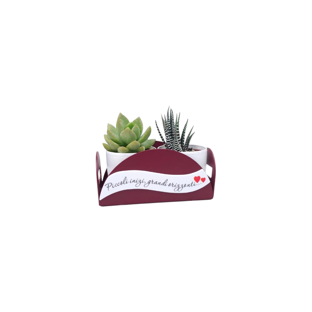 Vassoio con Vasetti Porta piantine Serie Monkey Bomboniere Negò