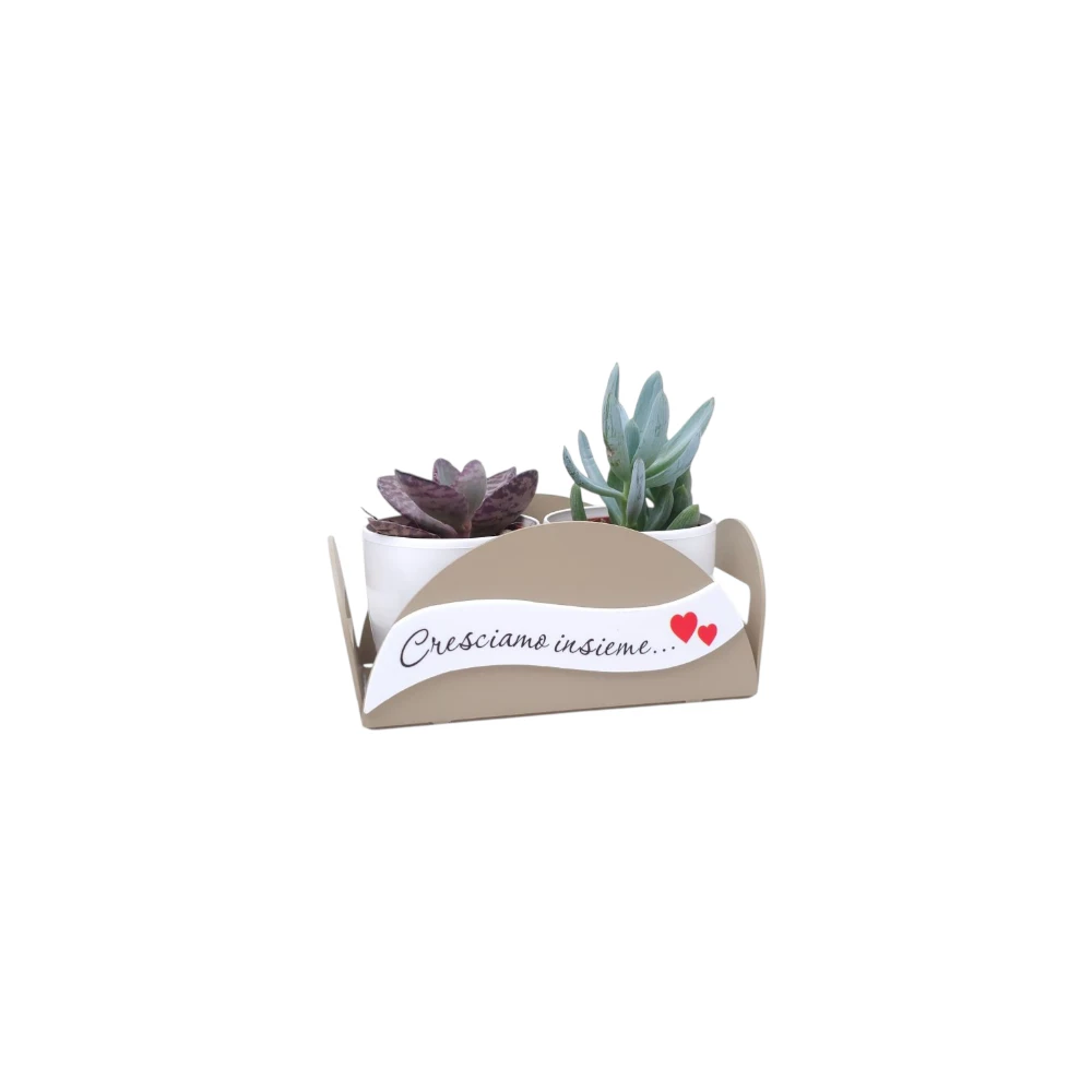 Vassoio con Vasetti Porta piantine Serie Monkey Bomboniere Negò - immagine 7